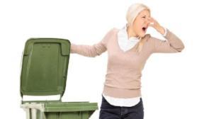 Just Bin Cleaned - Why Have Your Bins Cleaned?